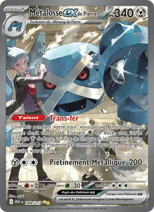 Métalosse-ex de Pierre 289/217 — Héros Transcendants