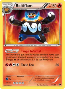 Roitiflam 100/99 — Destinées Futures